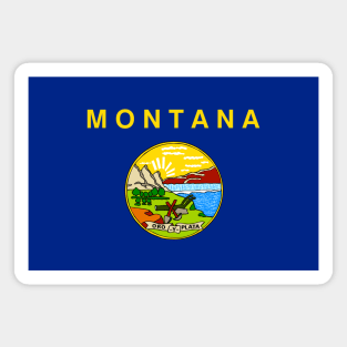 Flag of Montana Magnet